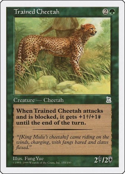 Trained Cheetah, Portal Three Kingdoms 155