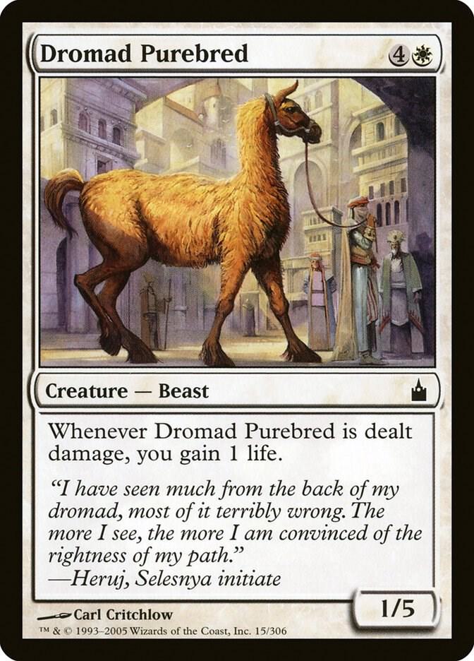 Dromad Purebred, Ravnica: City of Guilds 15