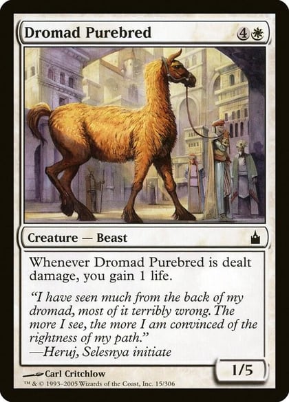 Dromad Purebred, Ravnica: City of Guilds 15