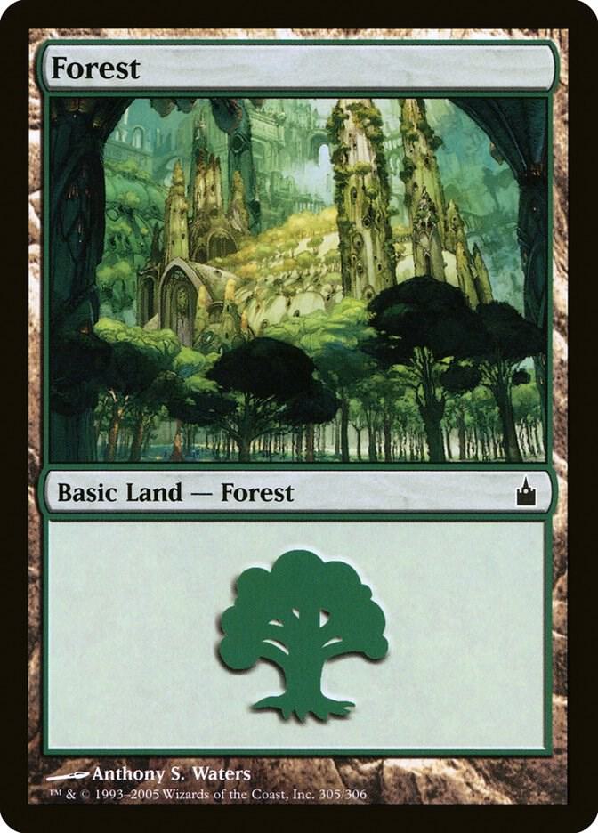 Forest (305), Ravnica: City of Guilds 305