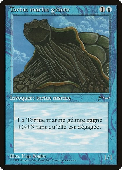 Giant Tortoise (French) - "Tortue marine geante", Renaissance #182102