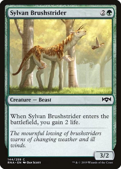 Sylvan Brushstrider, Ravnica Allegiance 144