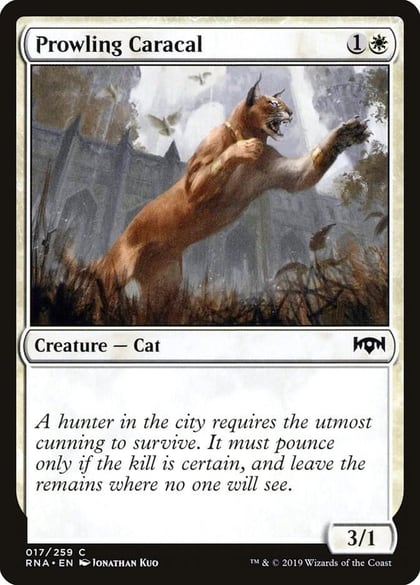 Prowling Caracal, Ravnica Allegiance 17