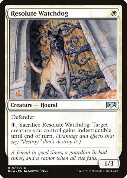 Resolute Watchdog, Ravnica Allegiance 19