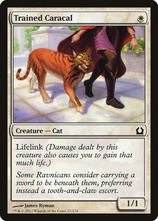 Trained Caracal, Return to Ravnica 27