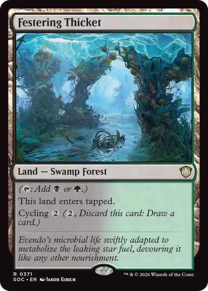 Festering Thicket, Commander: Secrets of Strixhaven 371