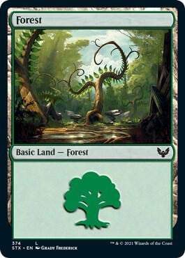 Forest (374), Strixhaven: School of Mages 374