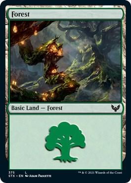 Forest (375), Strixhaven: School of Mages 375