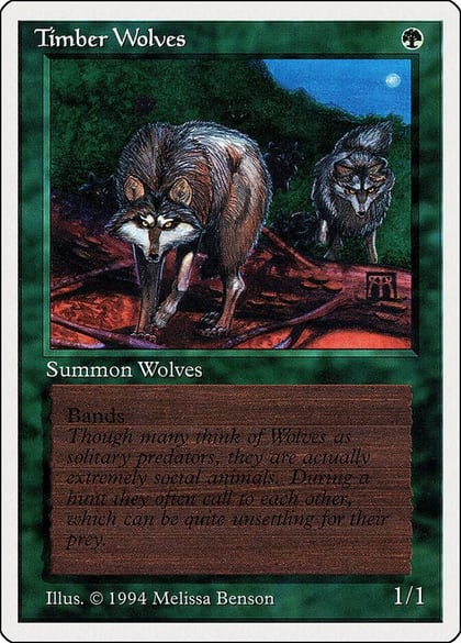Timber Wolves, Summer Magic 219