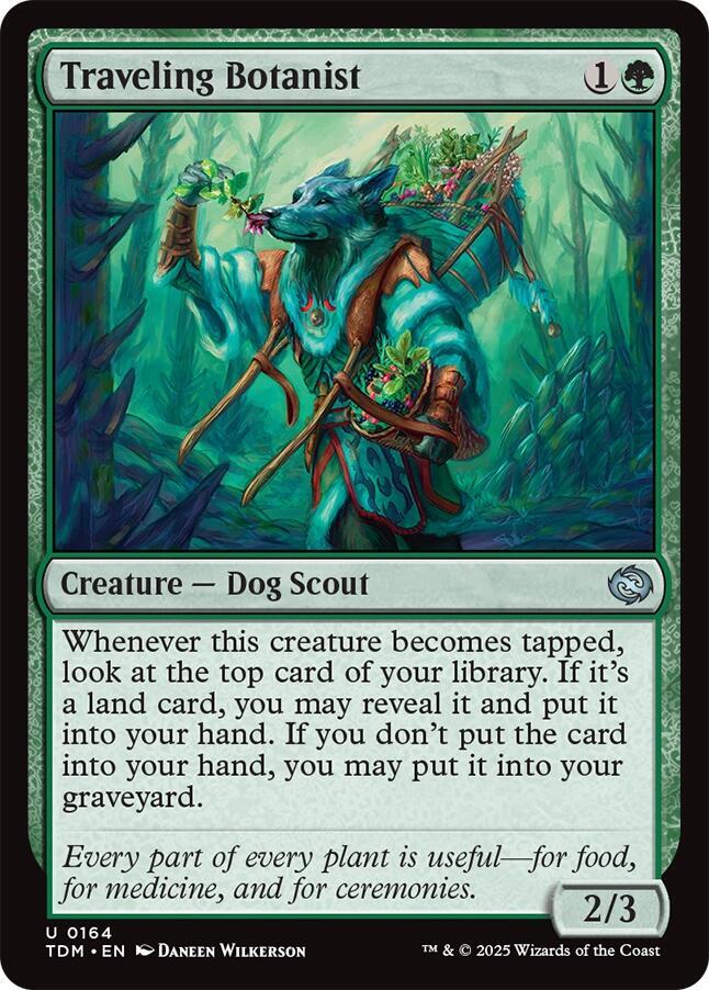 Traveling Botanist, Tarkir: Dragonstorm 164
