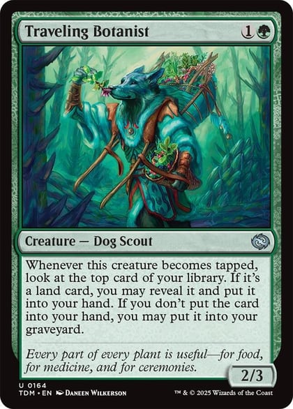 Traveling Botanist, Tarkir: Dragonstorm 164