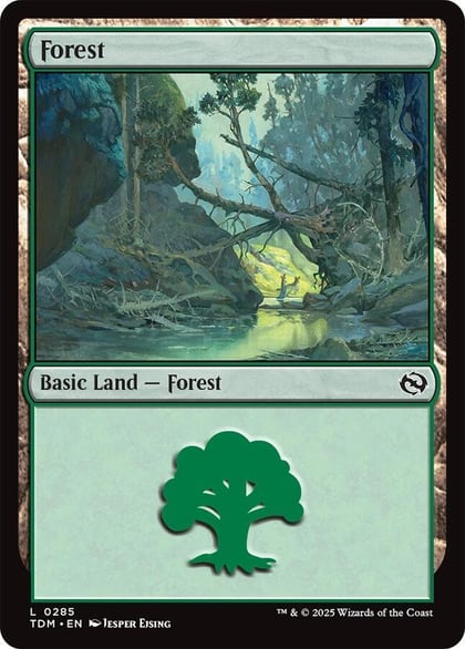 Forest (0285), Tarkir: Dragonstorm 285