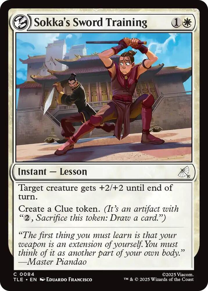 Sokka's Sword Training, Avatar: The Last Airbender: Eternal-Legal 84
