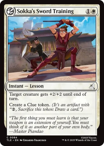 Sokka's Sword Training, Avatar: The Last Airbender: Eternal-Legal 84