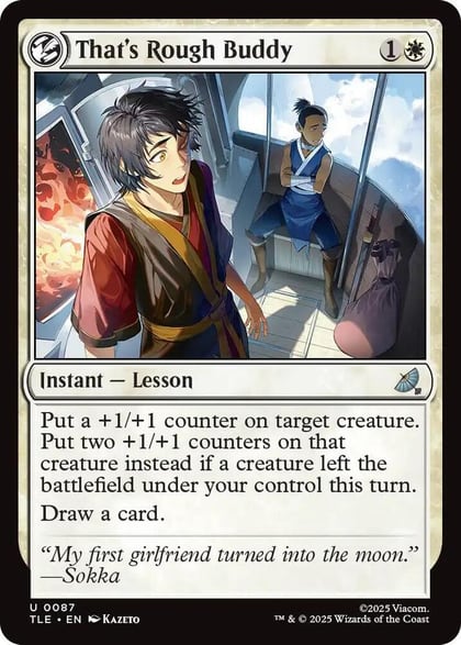 That's Rough Buddy, Avatar: The Last Airbender: Eternal-Legal 87