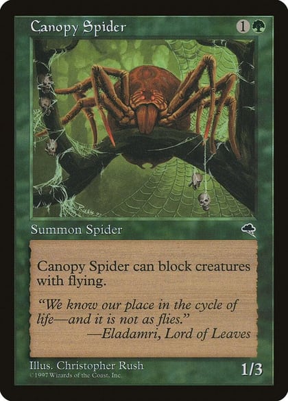 Canopy Spider, Tempest 217