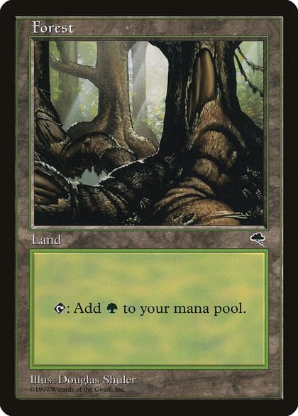 Forest (Pond), Tempest 348
