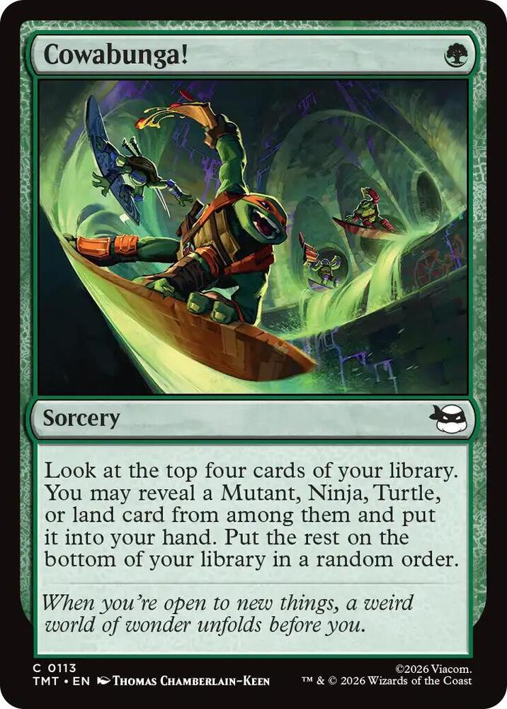 Cowabunga!, Teenage Mutant Ninja Turtles 113