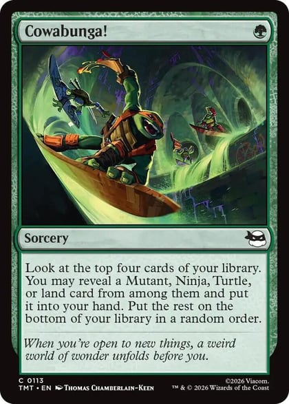 Cowabunga!, Teenage Mutant Ninja Turtles 113