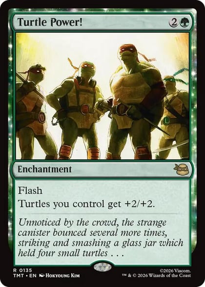 Turtle Power!, Teenage Mutant Ninja Turtles 135