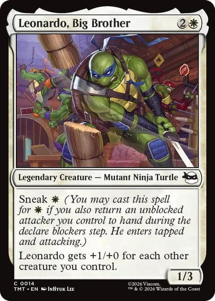 Leonardo, Big Brother, Teenage Mutant Ninja Turtles 14