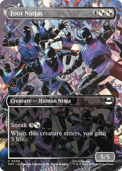 Foot Ninjas (Borderless), Teenage Mutant Ninja Turtles 209