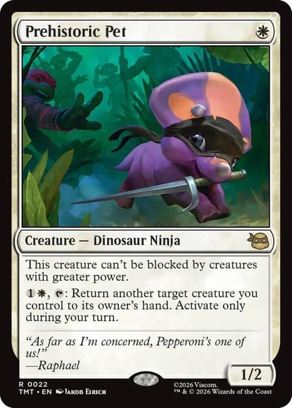 Prehistoric Pet, Teenage Mutant Ninja Turtles 22