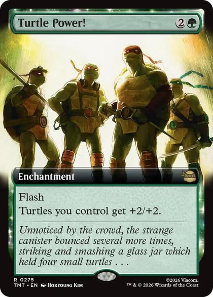 Turtle Power! (Extended Art), Teenage Mutant Ninja Turtles 275