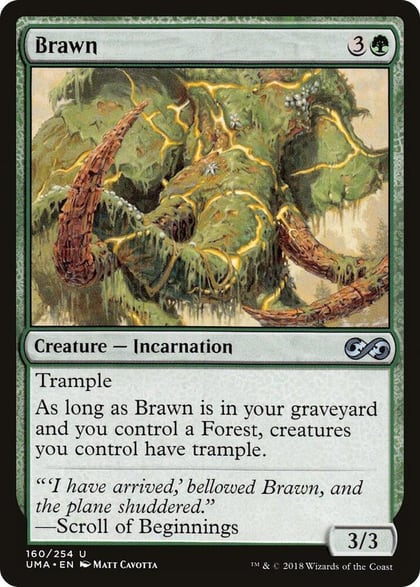 Brawn, Ultimate Masters 160