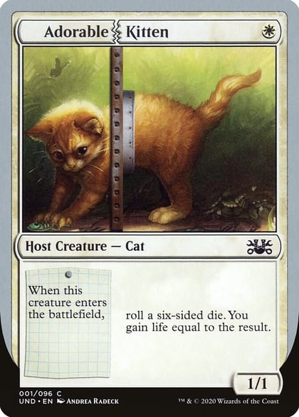 Adorable Kitten, Unsanctioned 1