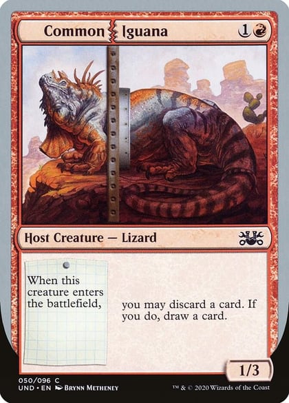 Common Iguana, Unsanctioned 50