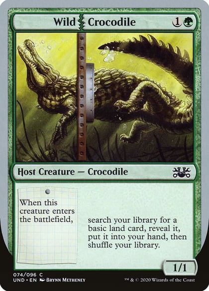 Wild Crocodile, Unsanctioned 74