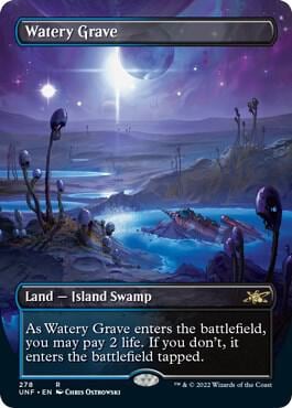 Watery Grave (Borderless), Unfinity 278