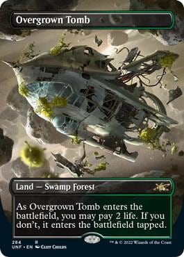 Overgrown Tomb (Borderless), Unfinity 284