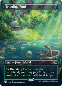 Breeding Pool (Borderless), Unfinity 286