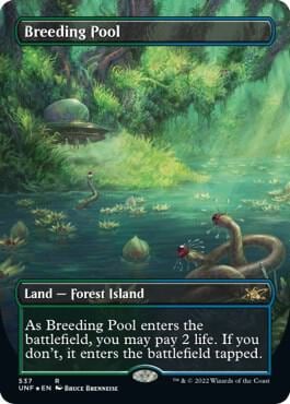 Breeding Pool (Borderless) (Galaxy Foil), Unfinity 537