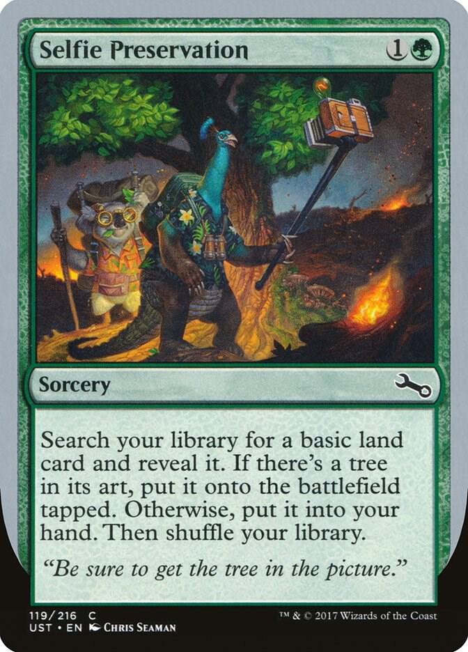 Selfie Preservation, Unstable 119