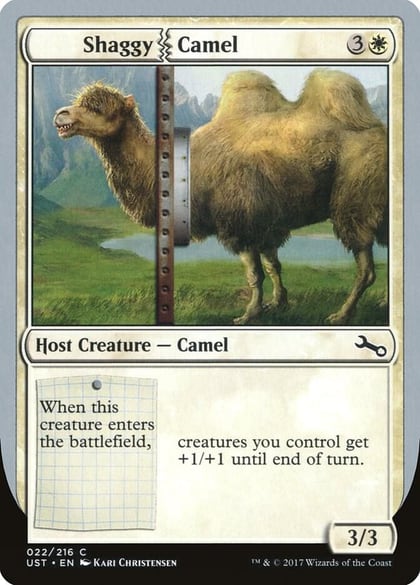 Shaggy Camel, Unstable 22