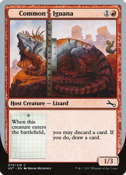 Common Iguana, Unstable 79