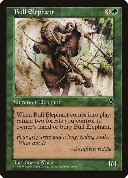 Bull Elephant, Visions #5812