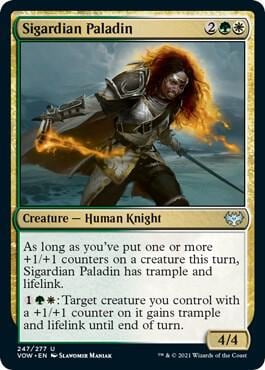 Sigardian Paladin, Innistrad: Crimson Vow 247