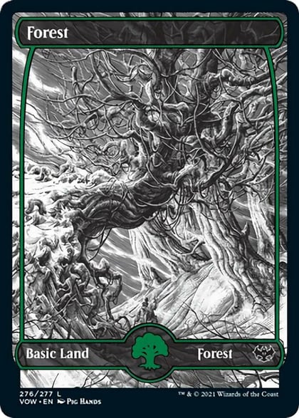 Forest (276), Innistrad: Crimson Vow 276