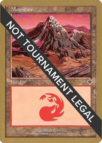 Mountain (343) - 2001 Tom van de Logt (INV), World Championship Decks #164321