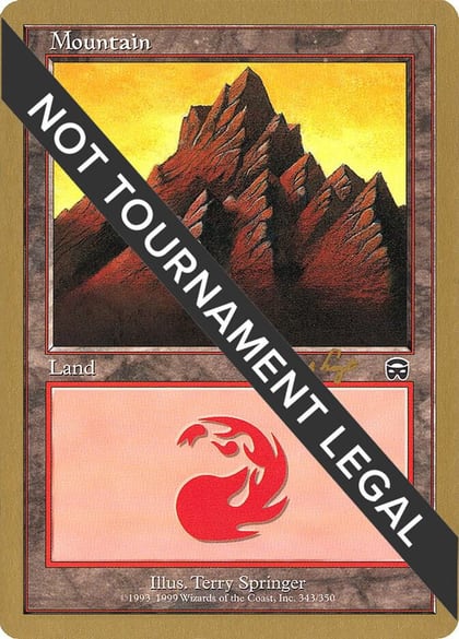 Mountain (343) - 2001 Jan Tomcani (MMQ), World Championship Decks #165090