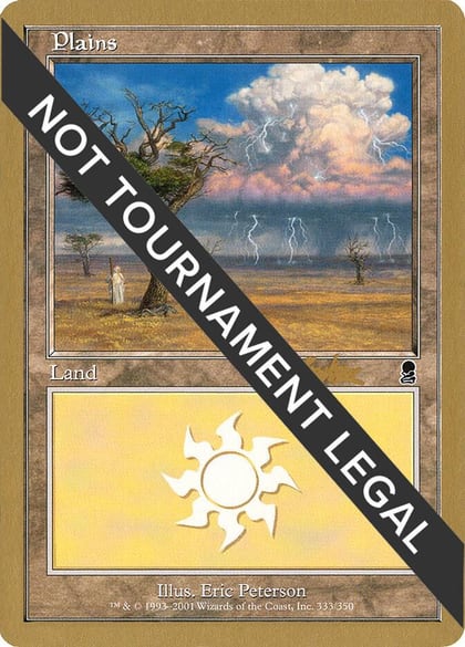 Plains (333) - 2002 Brian Kibler (ODY), World Championship Decks #173471