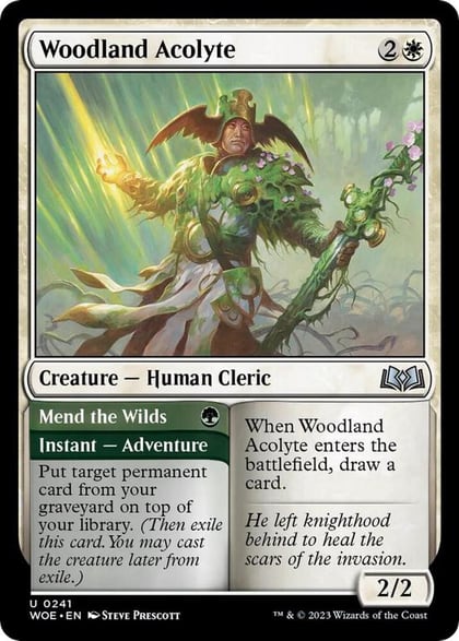 Woodland Acolyte, Wilds of Eldraine 241