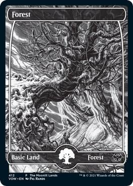 Forest (Moonlit Land) (Foil Etched), WPN & Gateway Promos 412