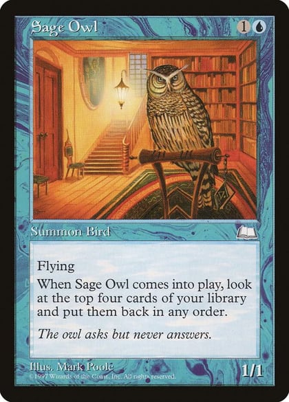Sage Owl, Weatherlight #6093