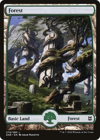 Forest (279) - Full Art, Zendikar Rising 279