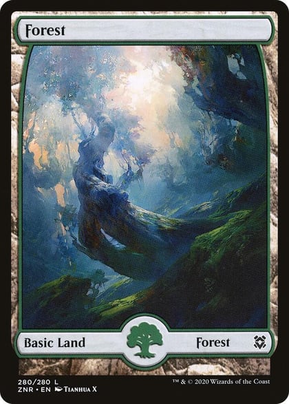 Forest (280) - Full Art, Zendikar Rising 280